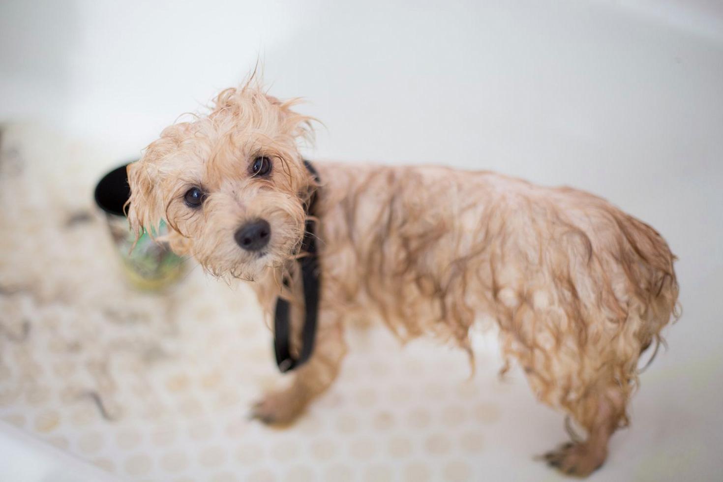 First Bath Package
