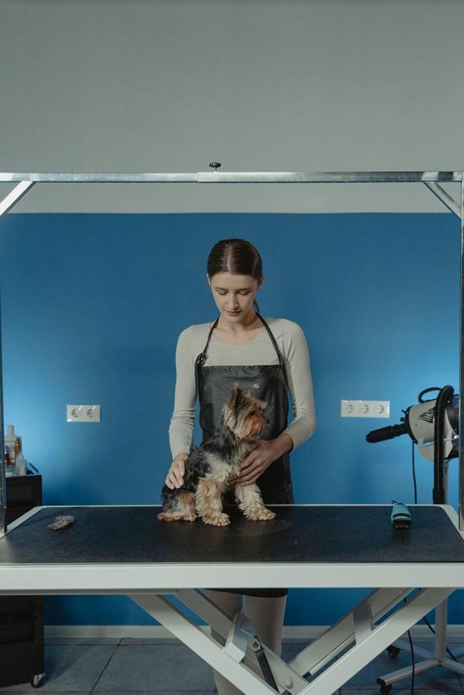 Our Professional Grooming Team