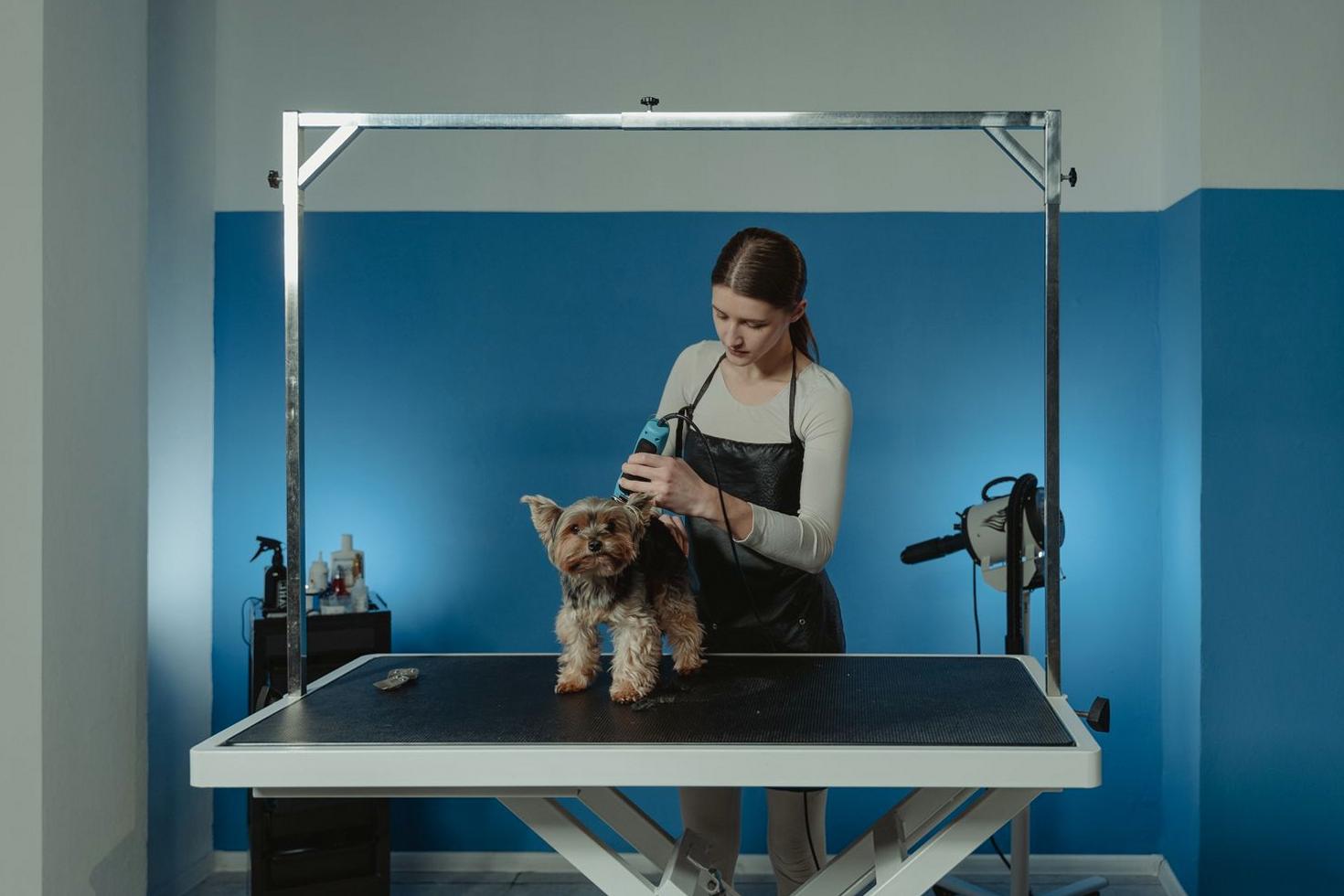 Full Puppy Spa
