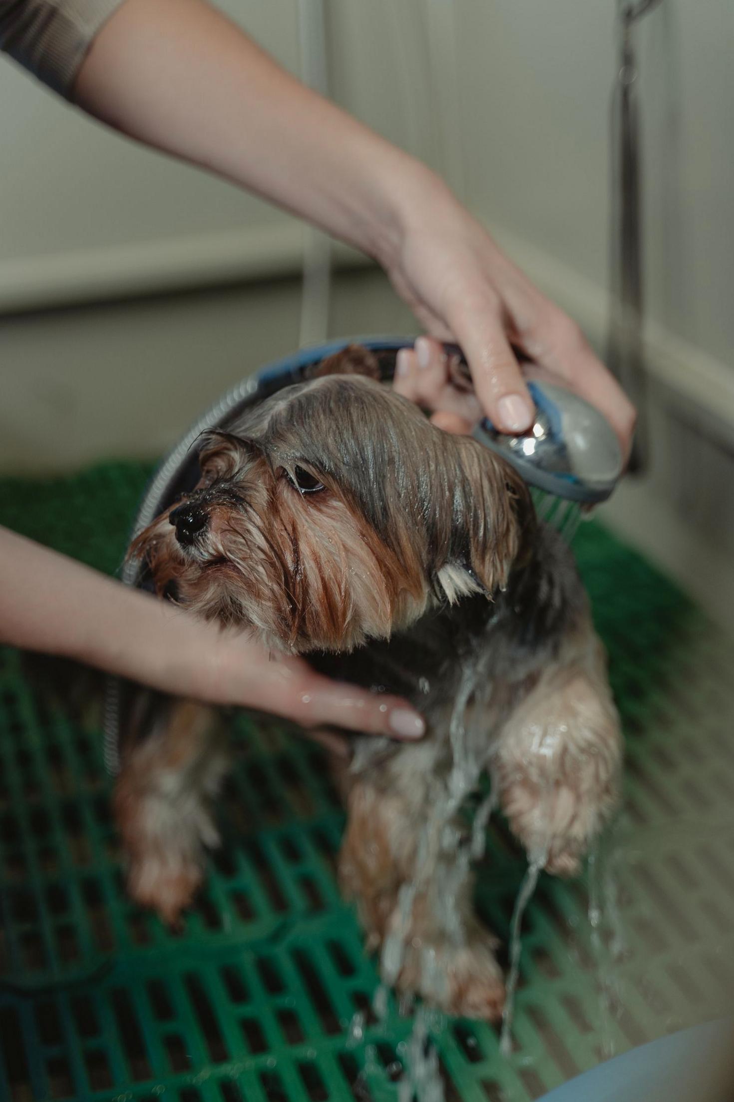 Grooming transformation 2