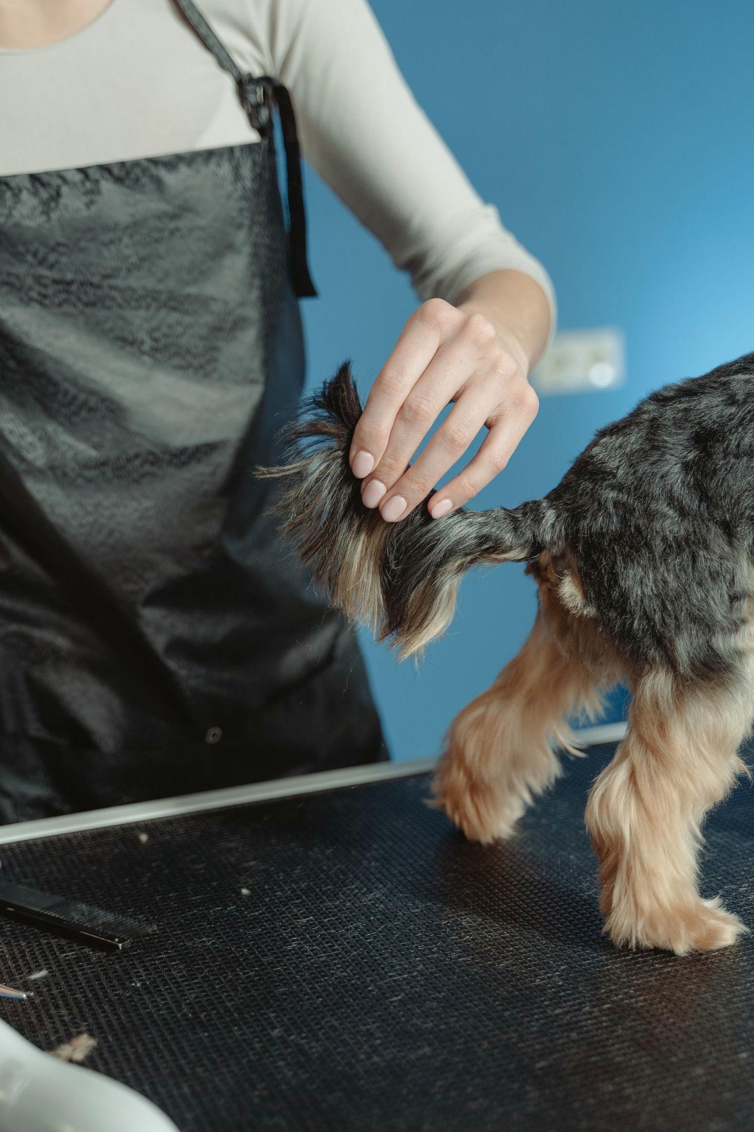 Grooming Care