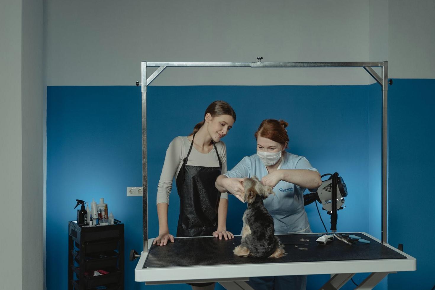 Full Puppy Spa
